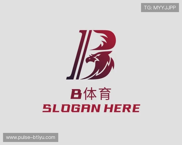 关于bsport